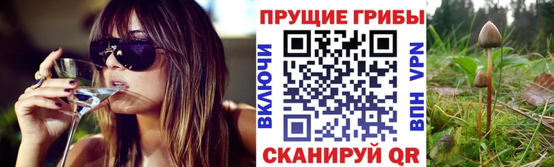 Галлюциногенные грибы Psilocybine cubensis hydra зеркало Кириллов цена наркотик