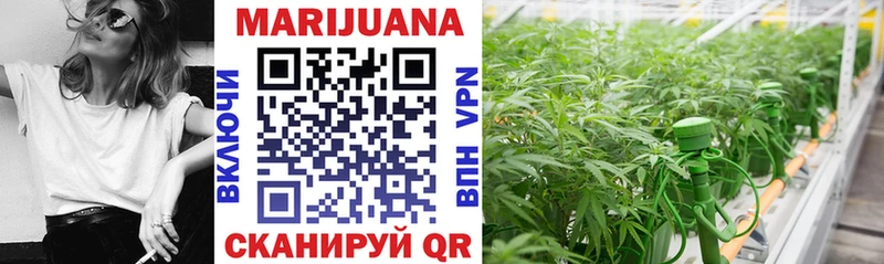закладки Кириллов ссылка на мегу зеркало Канабис THC 21%